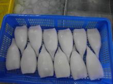 Frozen squid tubes Tordarodes Pacifucus