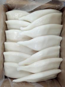 EU treated frozen squid tubes