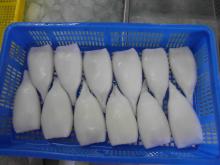 Frozen squid tubes skinless