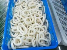 Frozen squid  ring s Giant squid