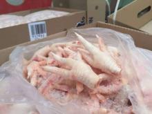 Halal Grade A Chicken Feet / Frozen Chicken Paws for Sale