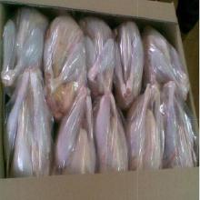 Grade A Frozen Chicken Feet, Paws, Breast, Whole Chicken, Legs and Wings