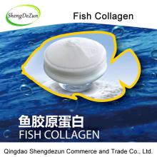 Food Grade Fish Collagen Powder