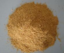 Corn Germ Meal