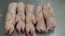 frozen  pork   front  and  hind   feet 