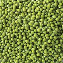 High Quality New Crop  Bulk  Green  Mung   Beans 