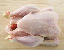 Quality Halal Frozen Whole Chicken
