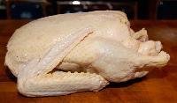 Halal Frozen Whole Duck