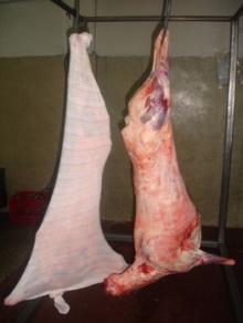 Quality Grade A Frozen Lamb Half Carcass