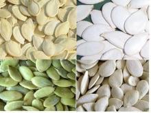Pumpkin Seeds and Kernels