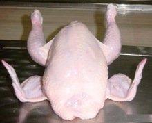 TOP Brazi l ian Qua l ity  Halal   Frozen  Who l e  Chicken  and Parts / Gizzards / Thighs / Feet / Paws / Drums