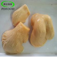 825g canned bailing mushroom