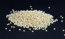 Millets