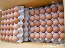 BROWN Table Eggs,Quail Eggs,Ostrich Eggs