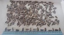 Striped sunflower seeds 