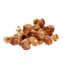 Agaricus Blazei Extract