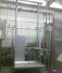 Dual-pole pneumatic elevator