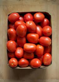 tomato paste