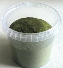 Spruce  juice   powder 