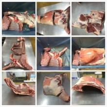 Big frozen  mutton  with 6  cuts 