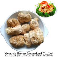 Natural  Health   Nutrition  Food Dried Monkey Head Mushroom