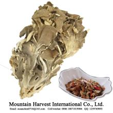 BRC FDA ISO HACCP Proved Good Quality Kitchen Food Dried  Maitake  Mushroom