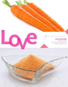 High Quality Natural Dehydrated Carrot Fiber Powder Organic Carrot Powder