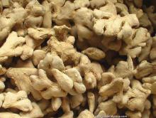 Top quality organic food dried ginger for ginger buyer