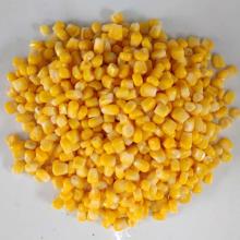 Canned Sweet Corn Whole Kernel