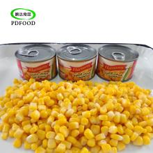 canned sweet corn kernel in vacuum pack