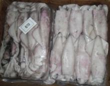 Frozen  whole   squid ,  squid  rings,  squid  tentacles. 30% discount