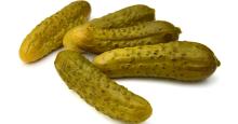 Gherkins for sale (Fresh / Preserved) 30% Discount