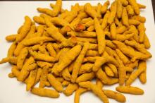 Tumeric Finger, top quality 30% discount