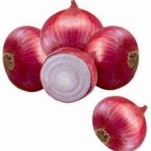 Fresh Onion. Red onion and Yellow Onion available on 30% sale now