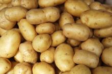 Organic Fresh Potatoes. 30% discount now on