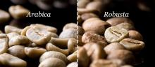 Arabica / Robusta Coffee Beans (Raw / Dried / Roasted). 30% discount available now