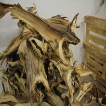 Quality Dry Stock Fish