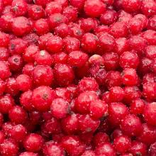 IQF Red Currant, Redcurrant Puree, Redcurrant concentrate on sale, 30% discount