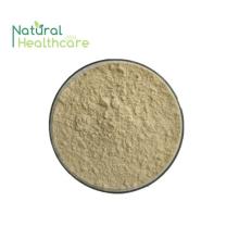Factory supply  tongkat  ali root  extract  200:1  tongkat  ali  extract 