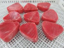  FROZEN   TUNA   STEAK  CUT