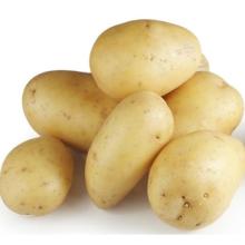 New harvest 2018  fresh   potato 