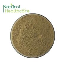  Maca   Extract 