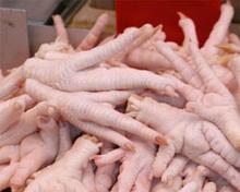 Chicken Feet Processed / Chicken Paws A Grade / Chicken Feet