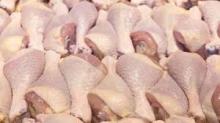 quality Grade A whole chicken drum stick