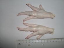 quality halal frozen chicken 1