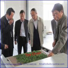 YM-20 Continuous Tea Leaf Fixation Machine