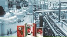 Automatic Tomato Paste Filling and Packaging Machine: