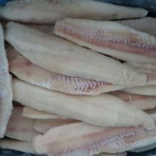 Fresh frozen pollock fillet