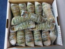 Fresh and Forzen Lobster / Lobster tails