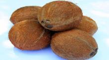 Fresh Coconuts